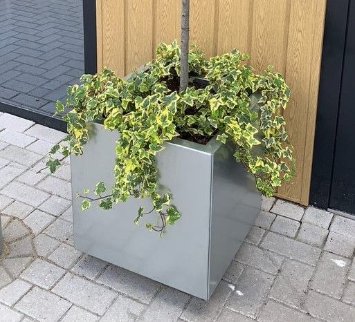 Viereckige Pflanzgefäß