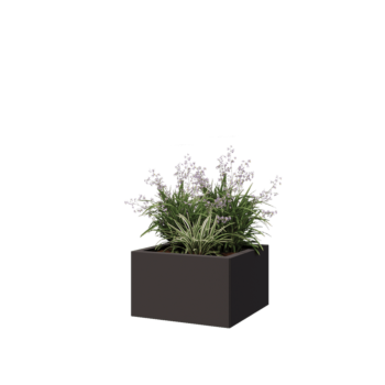 Pflanzkübel aus Stahl - Viereckig - 50 x 50 x 30 cm - RAL7016 matte (anthrazitgrau) - Mit Bodenplatte