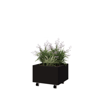 Pflanzkübel aus Stahl - Viereckig - 50 x 50 x 30 cm - RAL9005 matte (schwarz) - Mit Bodenplatte - Mit Rollen