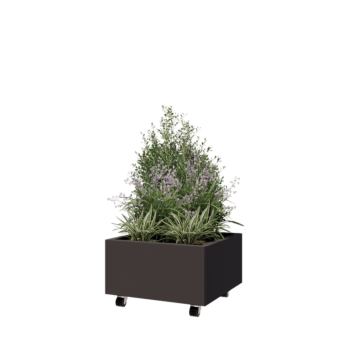 Pflanzkübel aus Stahl - Viereckig - 60 x 60 x 30 cm - RAL7016 matte (anthrazitgrau) - Mit Bodenplatte - Mit Rollen