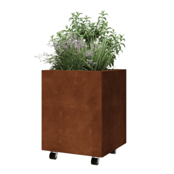 Cortenstahl Pflanzkübel - Viereckig - 50 x 50 x 60 cm - Mit Bodenplatte - Mit Rollen