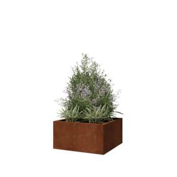 Cortenstahl Pflanzkübel - Viereckig - 60 x 60 x 30 cm - Ohne Bodenplatte