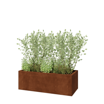 Cortenstahl Pflanzkübel - Rechteckig - 120 x 50 x 40 cm - Ohne Bodenplatte