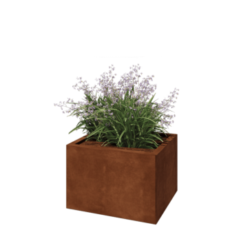 Cortenstahl Pflanzkübel - Rechteckig - 60 x 50 x 40 cm - Mit Bodenplatte