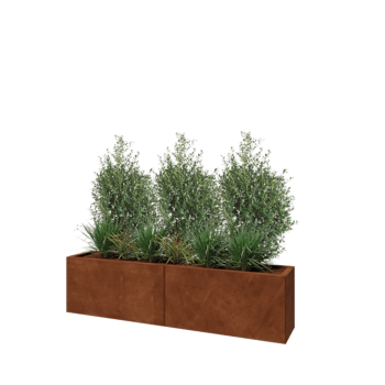 Cortenstahl Hochbeet XXL - Rechteckig - 160 x 30 x 40 cm - Mit Bodenplatte Cortenstahl Hochbeet XXL - Rechteckig - 160 x 30 x 40 cm - Mit Bodenplatte