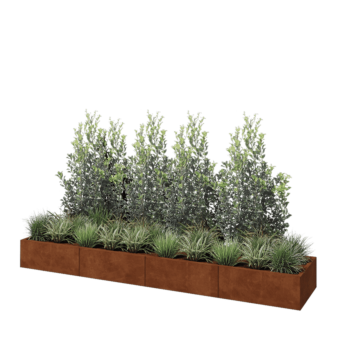 Cortenstahl Hochbeet XXL - Rechteckig - 320 x 60 x 30 cm - Ohne Bodenplatte