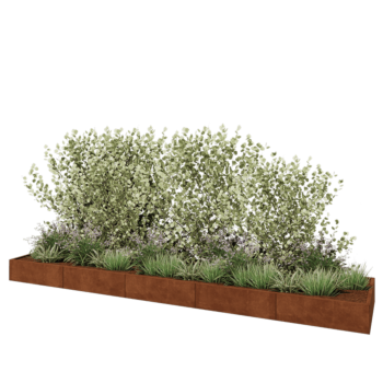 Cortenstahl Hochbeet XXL - Rechteckig - 500 x 100 x 30 cm - Mit Bodenplatte