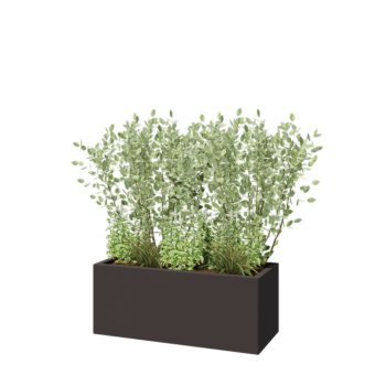 Pflanzkübel aus Stahl - Rechteckig - 100 x 40 x 40 cm - RAL7016 matte (anthrazitgrau) - Ohne Bodenplatte