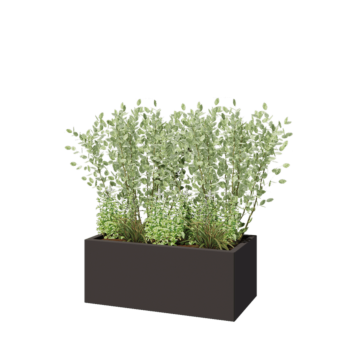 Pflanzkübel aus Stahl - Rechteckig - 100 x 50 x 40 cm - RAL7016 matte (anthrazitgrau) - Mit Bodenplatte