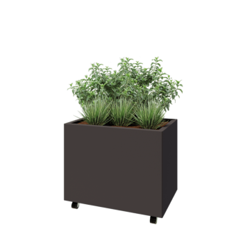 Pflanzkübel aus Stahl - Rechteckig - 80 x 50 x 60 cm - RAL7016 matte (anthrazitgrau) - Mit Bodenplatte - Mit Rollen