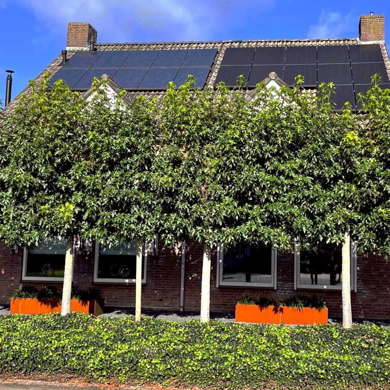 Hochbeet aus Cortenstahl Texas xxl 200 x 60 cm