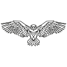 Wanddekoration aus Metall Eagle