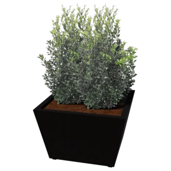 Pflanzkübel aus Stahl - Konisch - 80 x 80 x 51,5 cm - Geschweißt - Andere RAL farbe - Mit bodenplatte