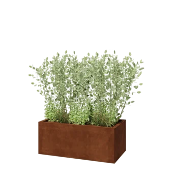 Cortenstahl Pflanzkübel - Rechteckig - 100 x 50 x 40 cm - Ohne Bodenplatte