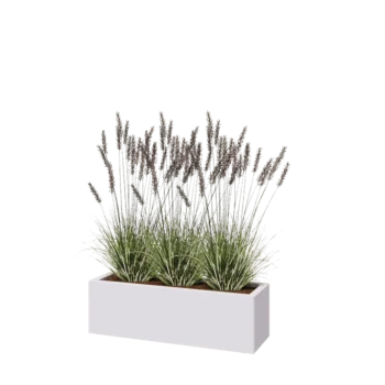 Pflanzkübel aus Stahl - Rechteckig - 100 x 30 x 30 cm - RAL9010 matte (weiß) - Ohne Bodenplatte