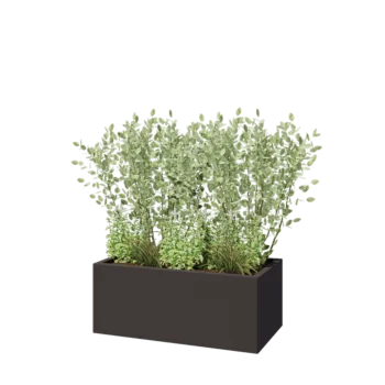 Pflanzkübel aus Stahl - Rechteckig - 100 x 50 x 40 cm - RAL7016 matte (anthrazitgrau) - Mit Bodenplatte