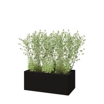 Pflanzkübel aus Stahl - Rechteckig - 100 x 50 x 40 cm - RAL9005 matte (schwarz) - Ohne Bodenplatte