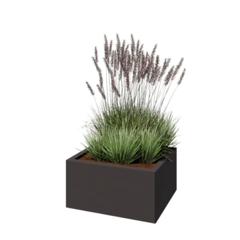 Pflanzkübel aus Stahl - Rechteckig - 60 x 50 x 30 cm - RAL7016 matte (anthrazitgrau) - Ohne Bodenplatte