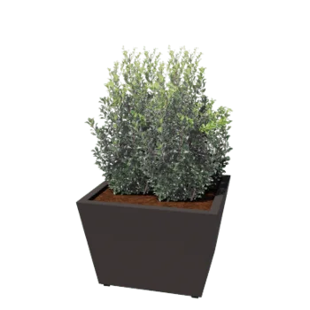 Pflanzkübel aus Stahl - Konisch - 80 x 80 x 51,5 cm - Geschweißt - RAL7016 matte (anthrazitgrau) - Mit bodenplatte