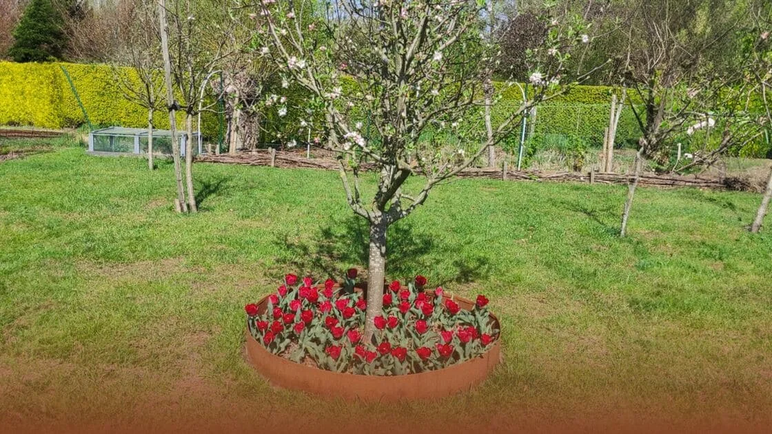 Wie macht man eine Umrandung um einen Baum?