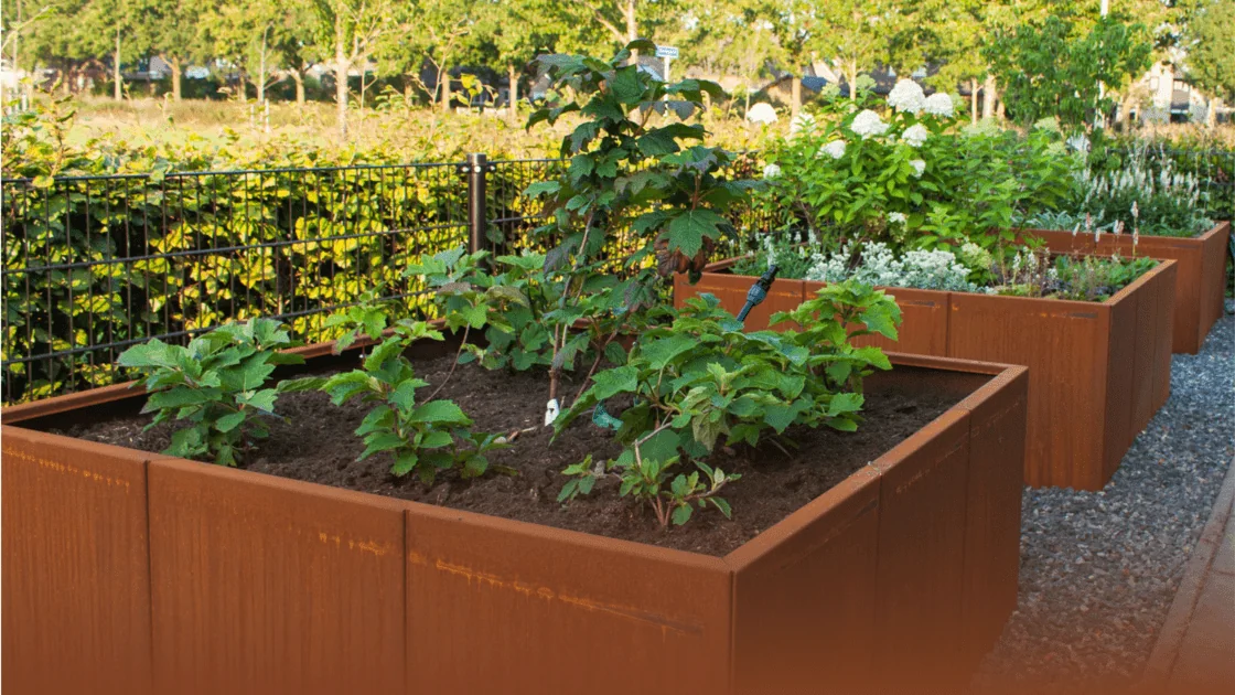 Cortenstahl-Leitfaden: Alles, was Sie über diesen Werkstoff wissen möchten